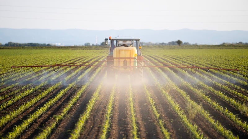 ‘Trump speed,’ How the U.S. government is trying to reduce fertilizer prices