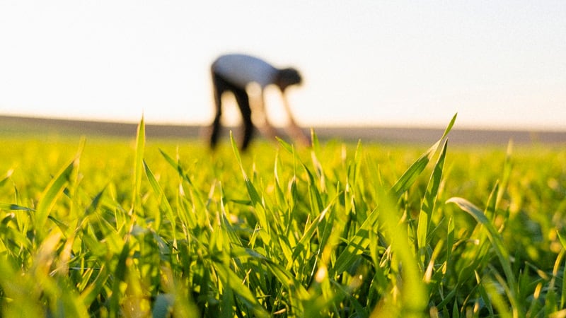 Regenerative agriculture’s core tensions unpacked