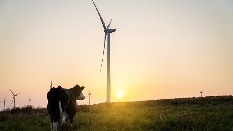 The tech & sustainability connection on the farm: Why investing in one is crucial to the other 