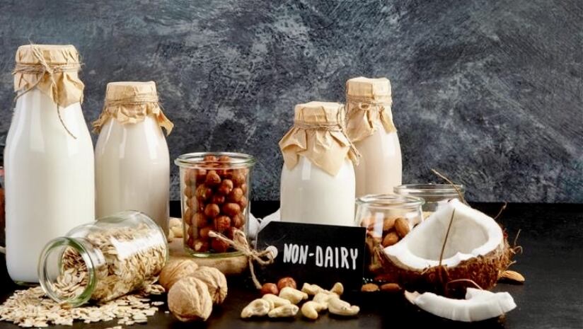 Dairy Alternatives: Innovation and market insights