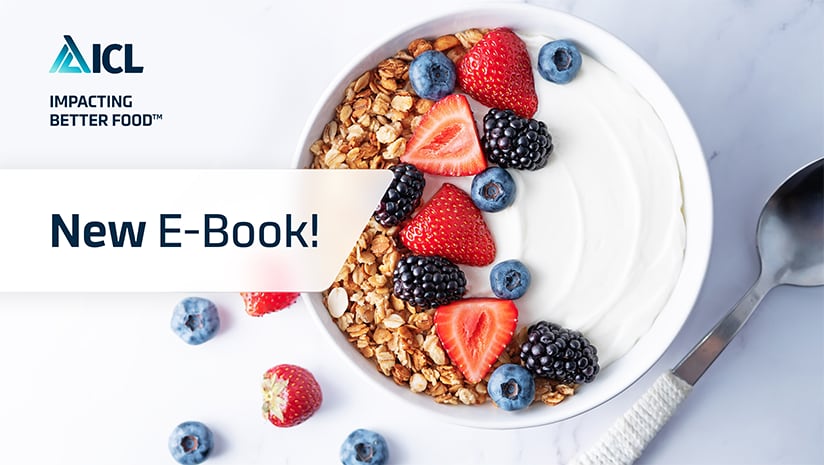 High-Protein Dairy & Dairy Alternative Products