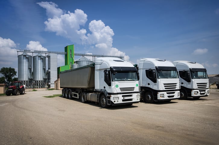 Crackdown on immigrant truckers could threaten supply chains and drive up grocery prices