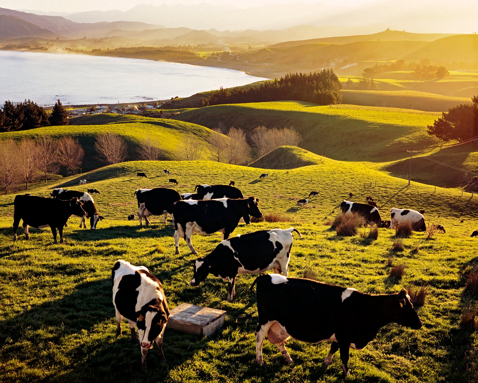From Kerry Dairy to Kinisla: Can the rebrand deliver?