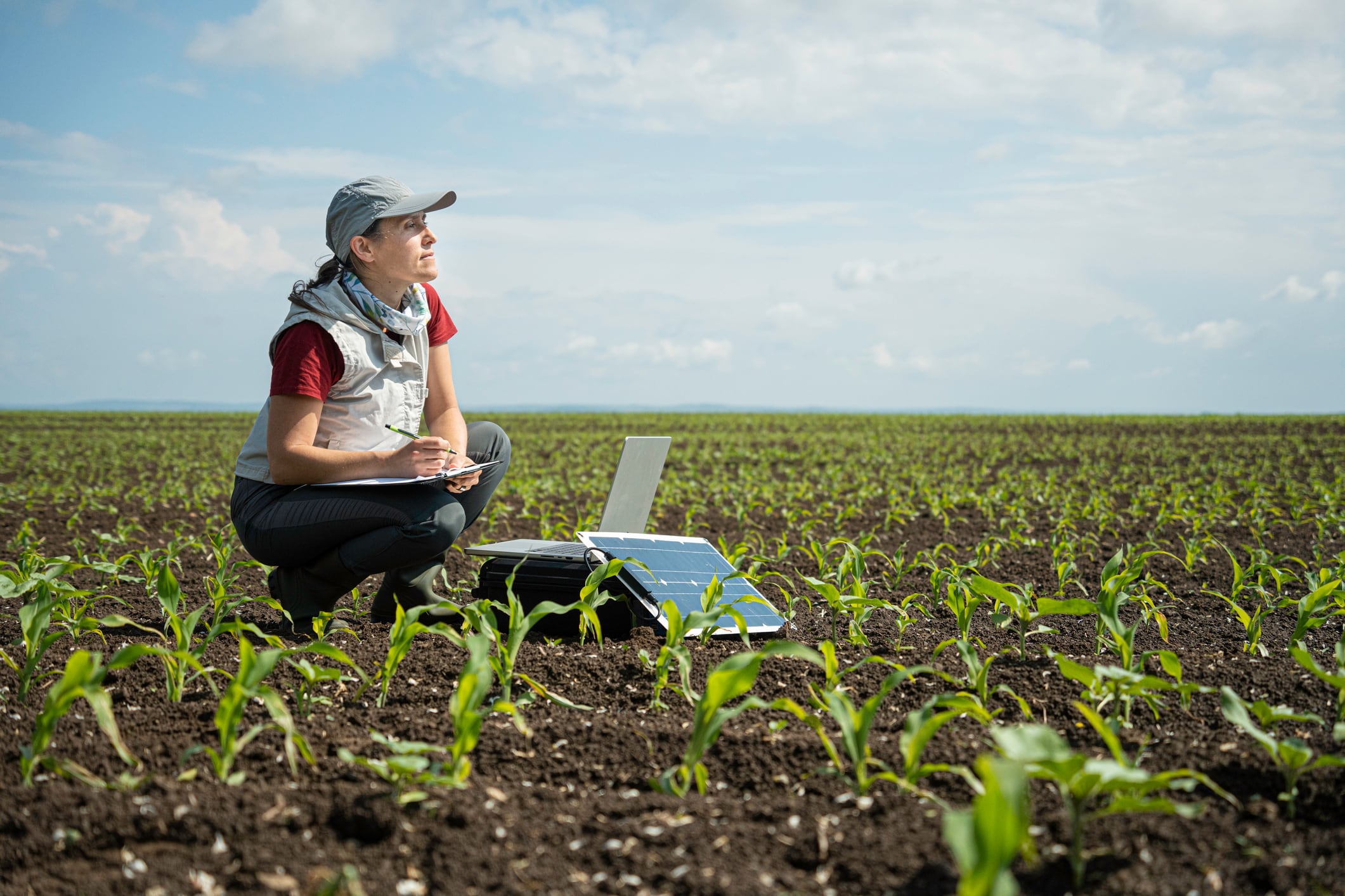 Big brands unite on regenerative ag – but who will pay to scale it?