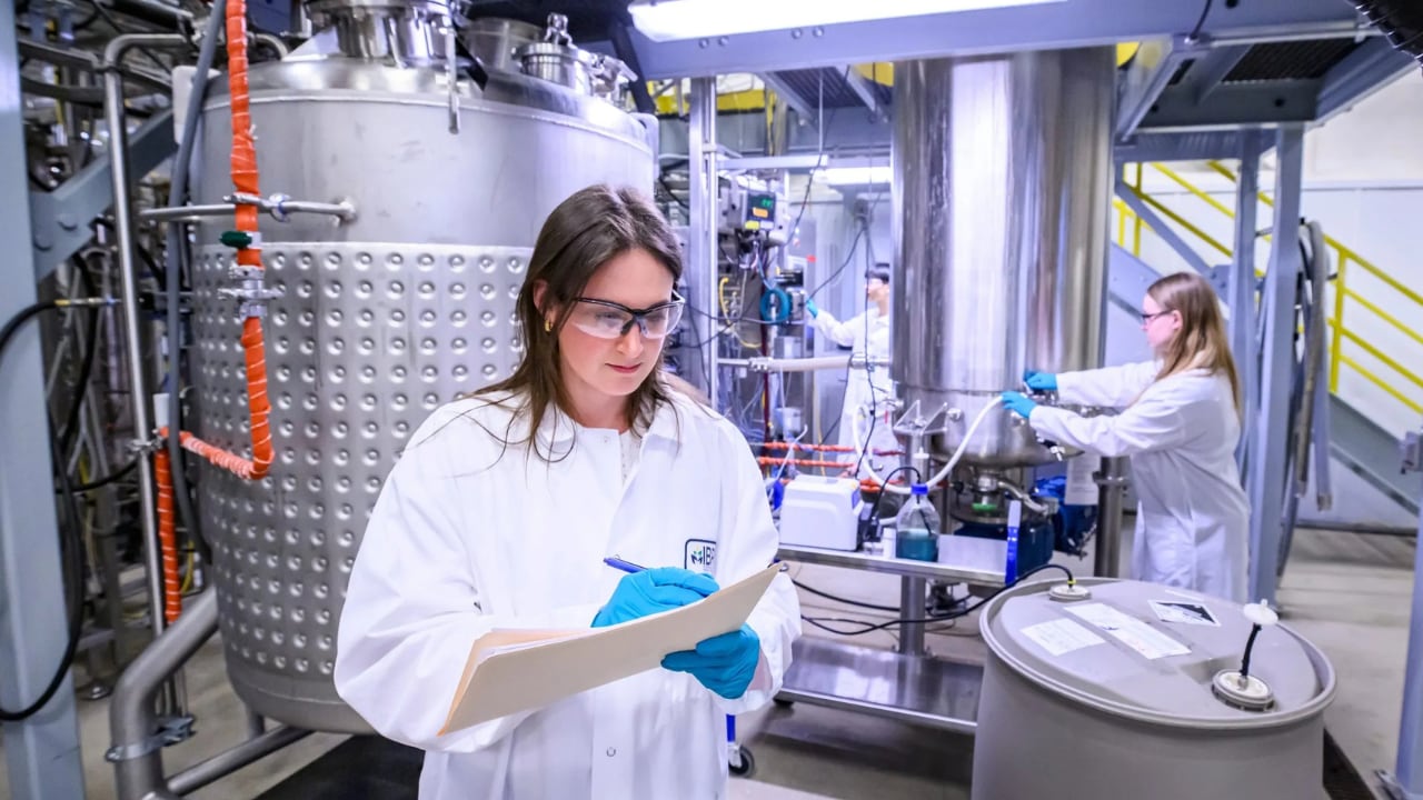 Universities emerge as backbone of alternative protein scale-up