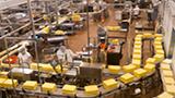 How liquid gas can help dairy producers cut emissions and costs  