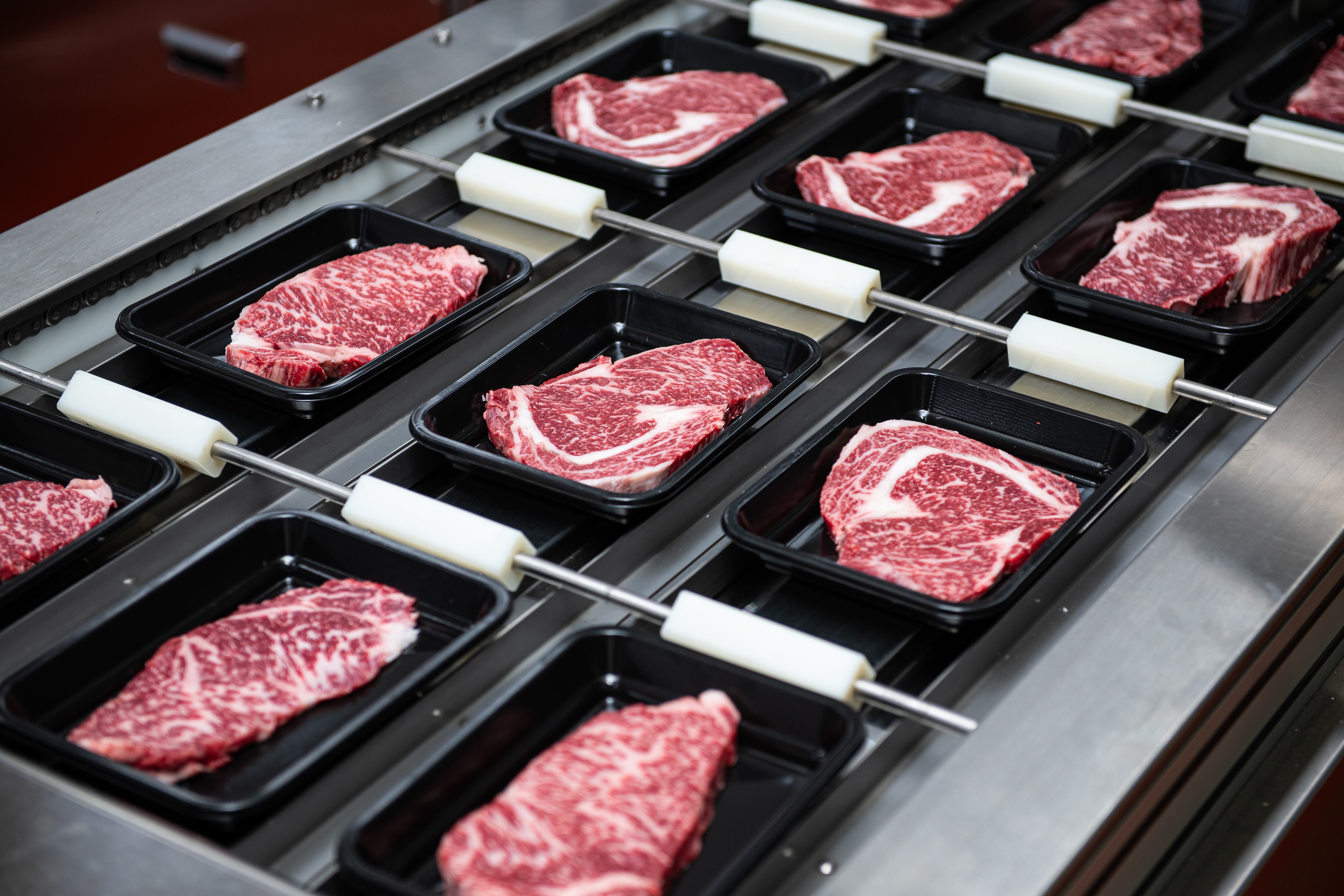 Federal diet guidelines accused of bowing to Big Meat