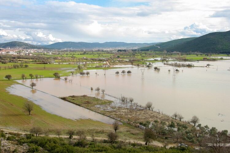 ‘Vital’ that farms prepare for climate change impacts – Kite Consulting